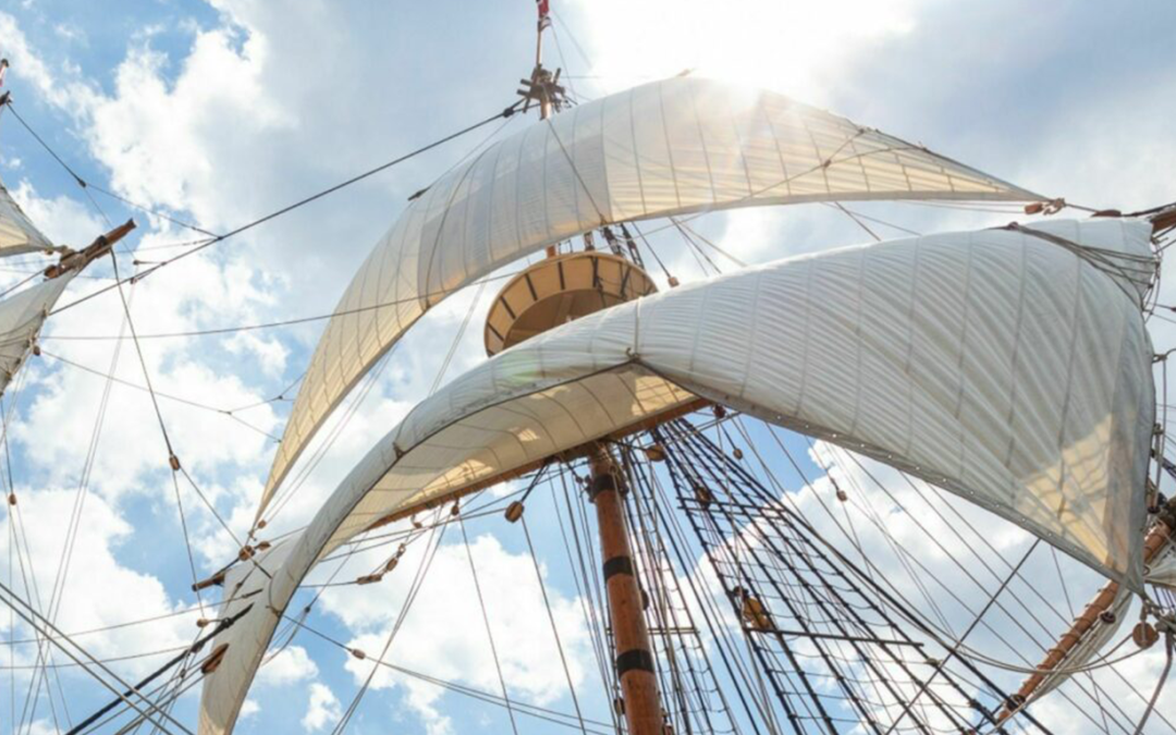 Did the Pilgrims Smoke Cigars in the 1600s?